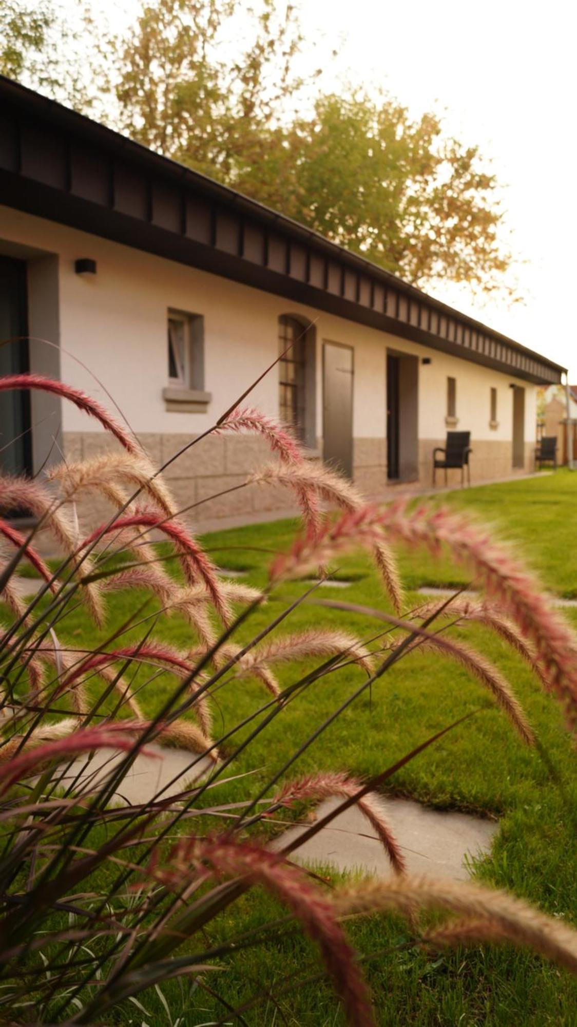 Remise Brasch - Zwischen Bahnhof Und Elbe Apartment Витенберге Екстериор снимка